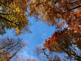 2025 ősz, Kékestetőn