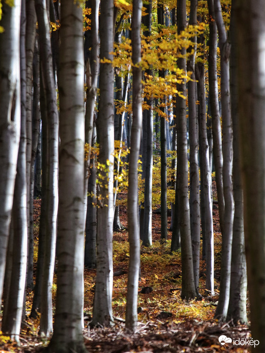 2025 ősz, Kékestetőn