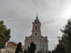 Satu Mare