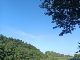 Penyige