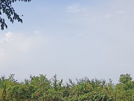 Ceglédbercel