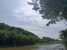 Penyige