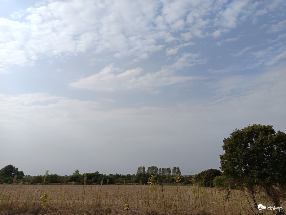 Kóka