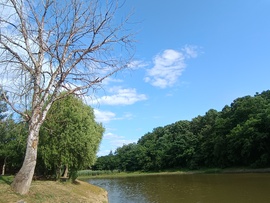 Penyige