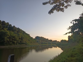 Penyige