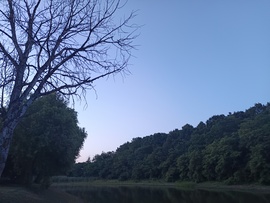 Penyige