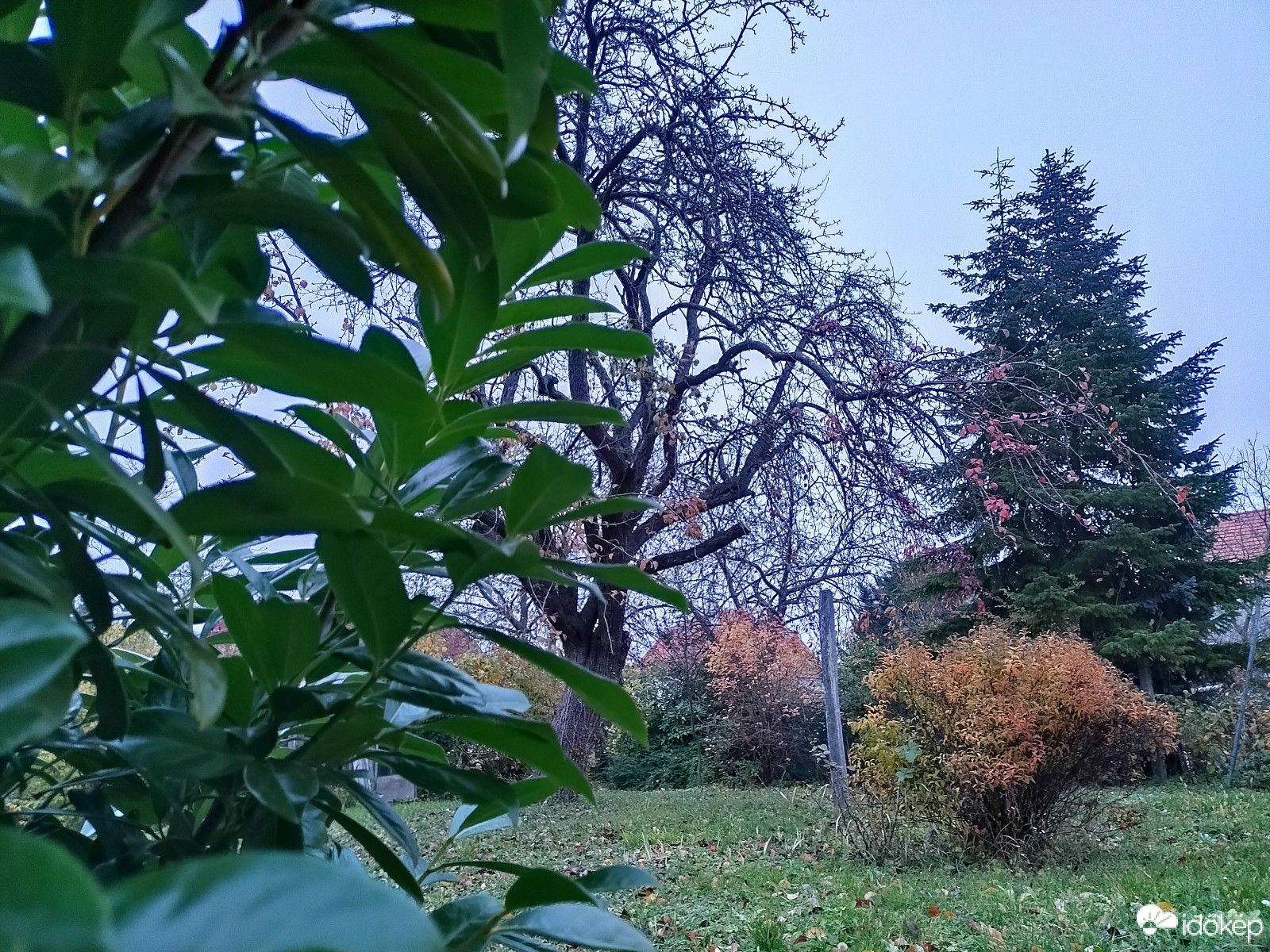 Sopron