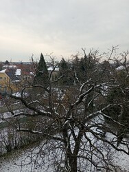 Sopron