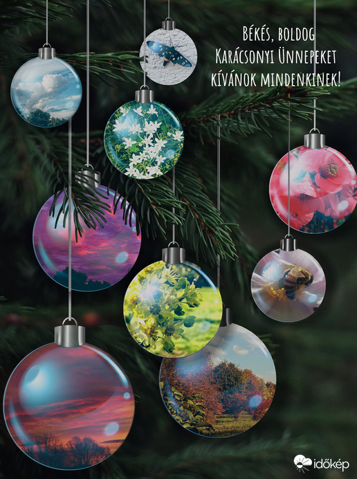 Békés, boldog, szeretet- és örömteli karácsonyi ünnepeket kívánok mindenkinek!