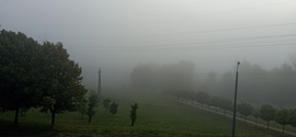 Pécs ma reggel 01