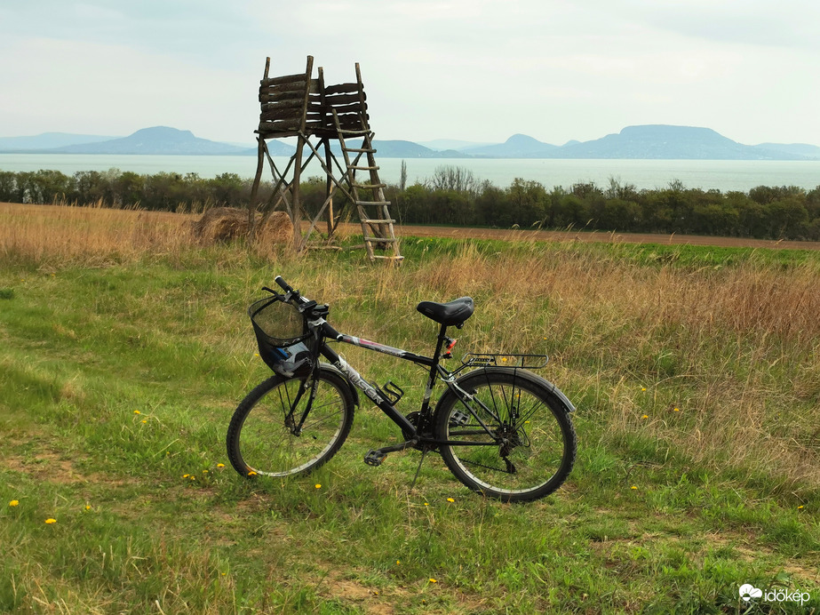 Balatonkeresztúri szőlőhegyen 