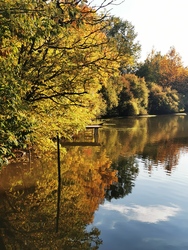 Őszi idill