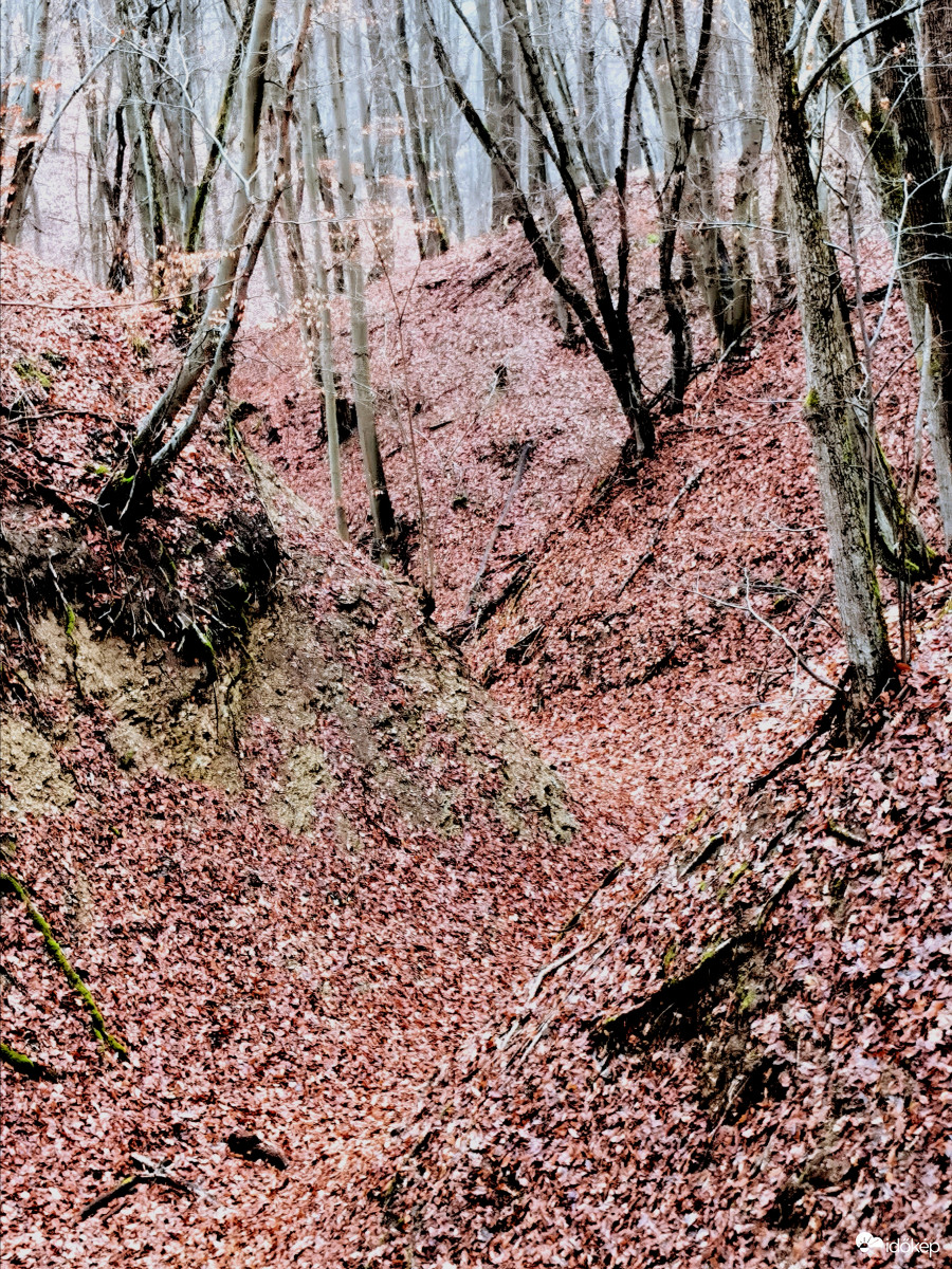 Szurdok