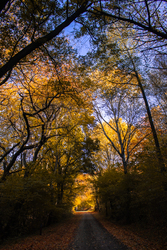 Út Füzér Várához