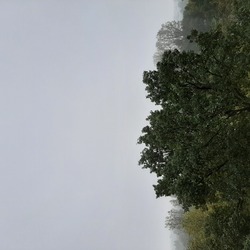 Székesfehérvár
