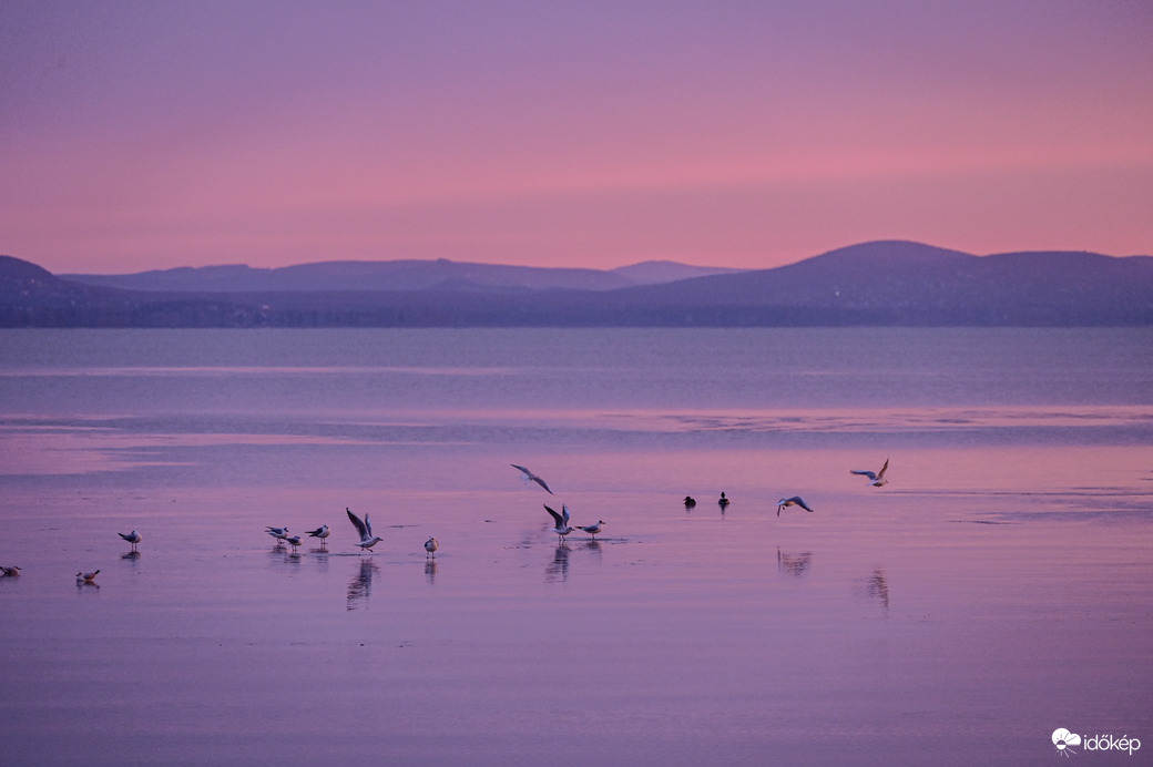 Az álom és valóság határán 