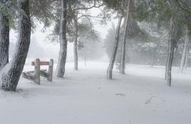Gyertek sétálni , ülőhely is van. Pihenni is lehet 
