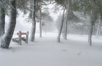 Gyertek sétálni , ülőhely is van. Pihenni is lehet 