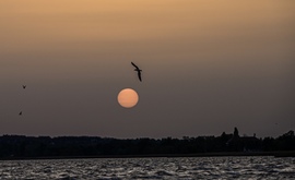 A homok sejtelmes fátyollal borította be a napfelkeltét 