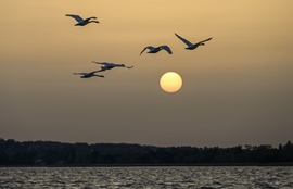 A homok sejtelmes fátylat borította be a napfelkeltét 