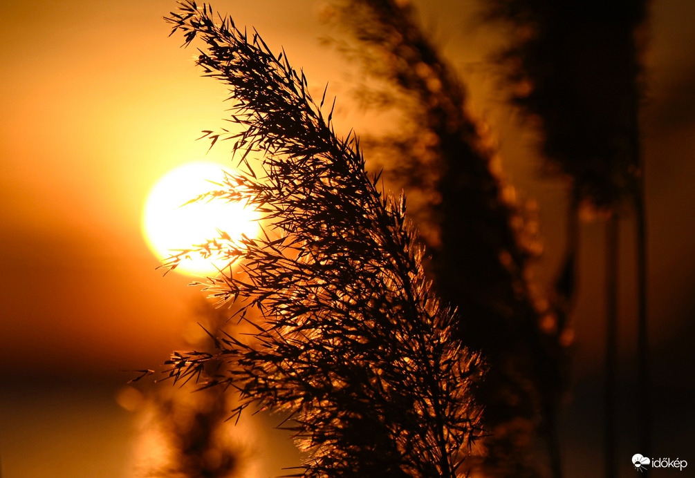 Varázslatos búcsú 