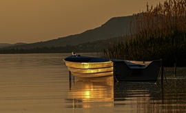 Április búcsúja aranyban 