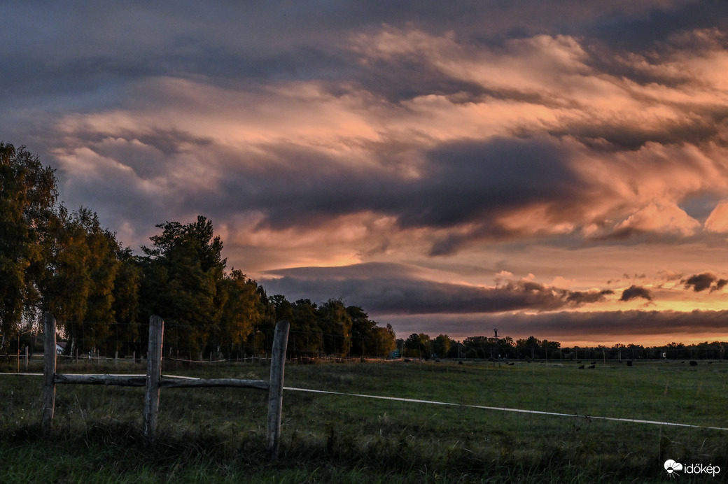Színes selyemfátyol a berek felett 