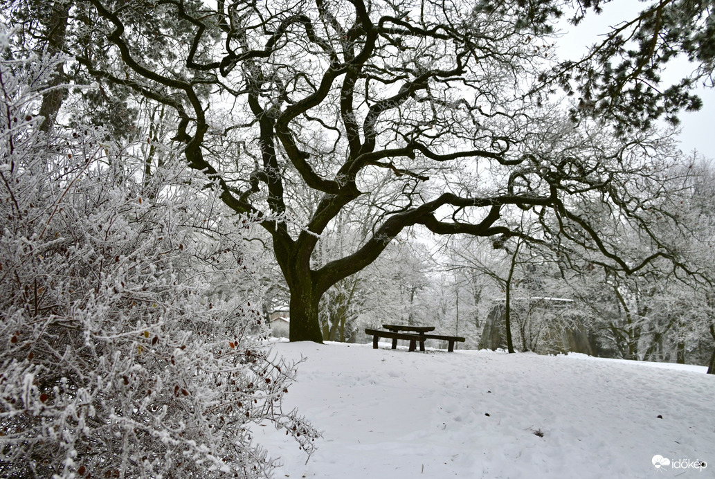 Zúzmarás ölelésben 