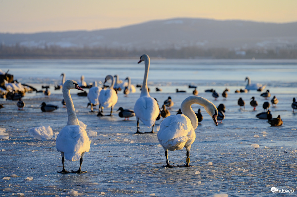 Kikötő melletti party 