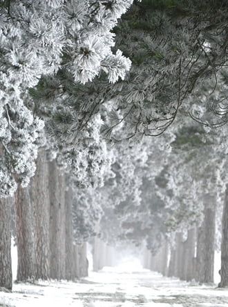 Mindig magával ragadó. Most semmi fény. Csal köd és zúzmara. 