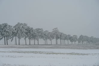 Köd és zúzmara kettőssége elbűvölő lazvany volt 