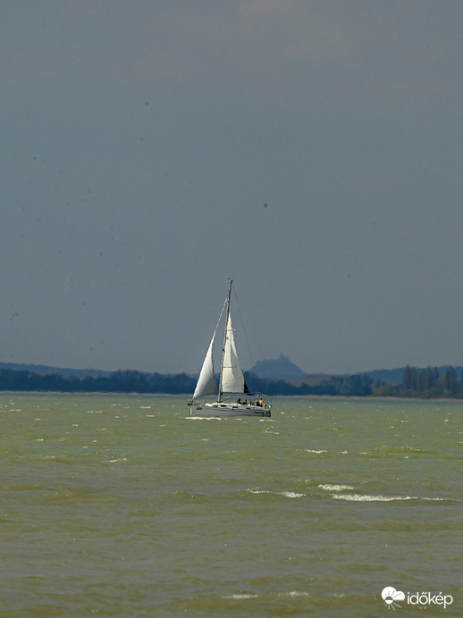  Fél szél fél ref 