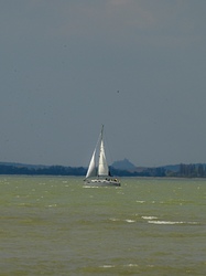  Fél szél fél ref 