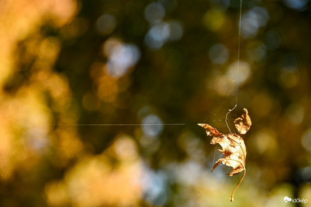 Két világ között 