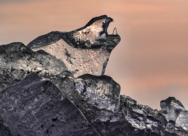 Elolvad a jég , előkerülnek a dínók. 