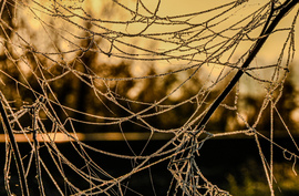 Fagyos össze vissza 