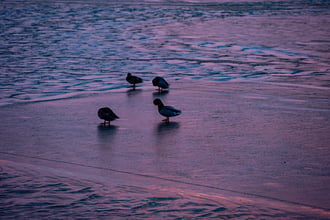 Kis huncutokat még elbírja a vékony jég 