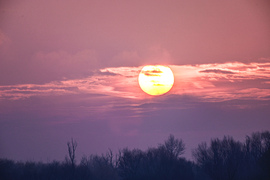 Minden szürke és fagyott kézzel gyors obi csere , mert itt van ő a Nap. 