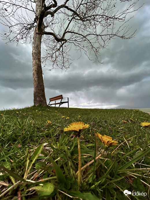 Üres a pad. Várja a vihart….. 