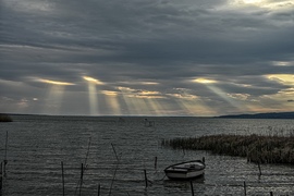 Reflektorfényben 