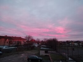 Szalárd