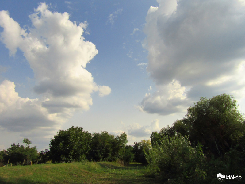 Sarkad