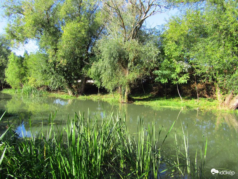 Sarkad