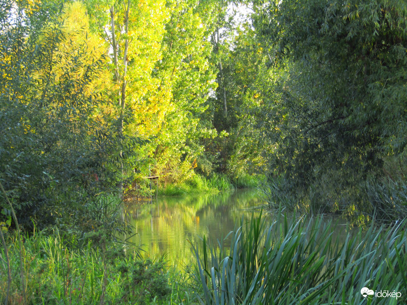 Sarkad