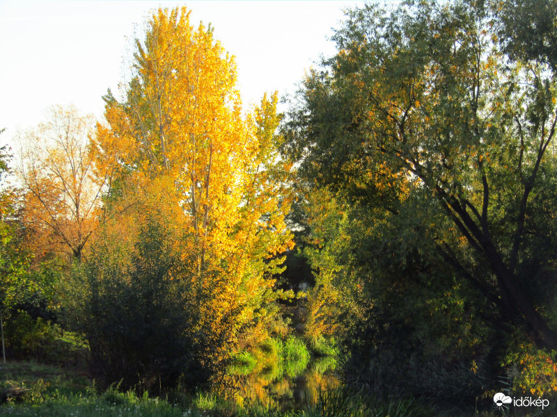 Sarkad