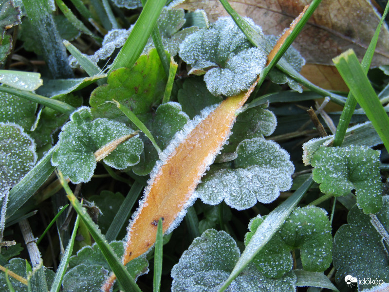 Sarkad