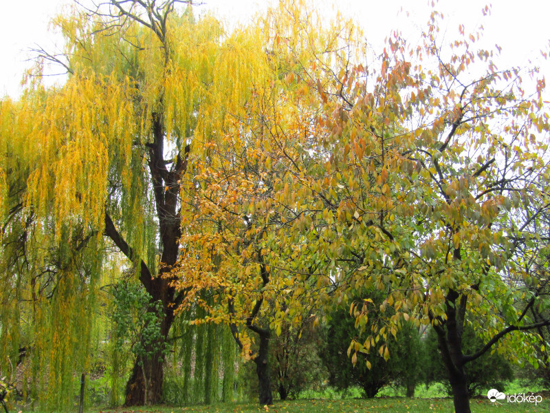 Sarkad