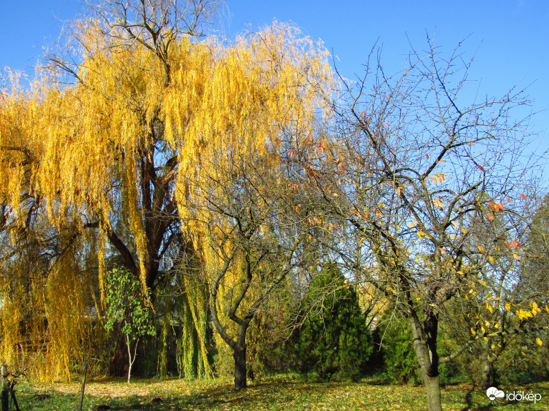 Sarkad