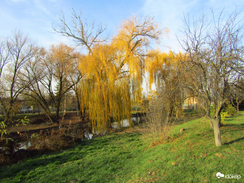 Sarkad