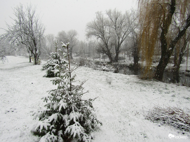 Sarkad